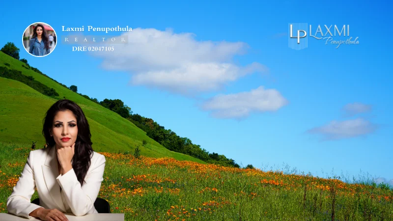 Best Neighborhoods for Tesla Employees in Fremont CA - Laxmi Penupothula